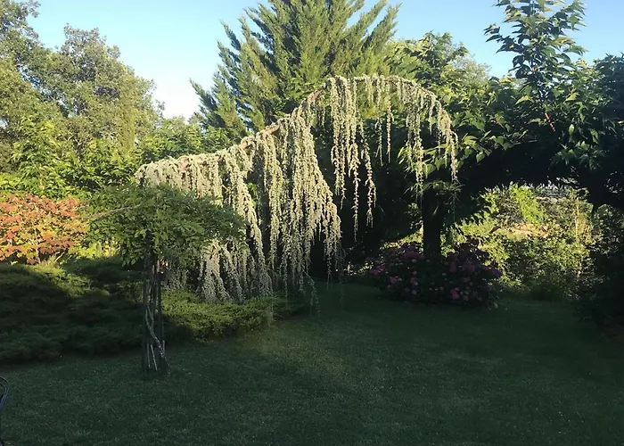 Luxury Family In The Heart Of Gascony. Large Pool & Gorgeous View וילה Tourdun